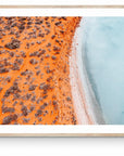 Ivy - Shark Bay Wall Art - Digital Download - Days Adrift