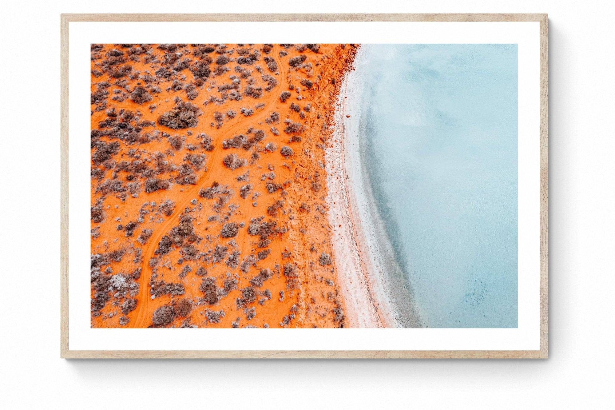 Ivy - Shark Bay Wall Art - Framed Print - Days Adrift