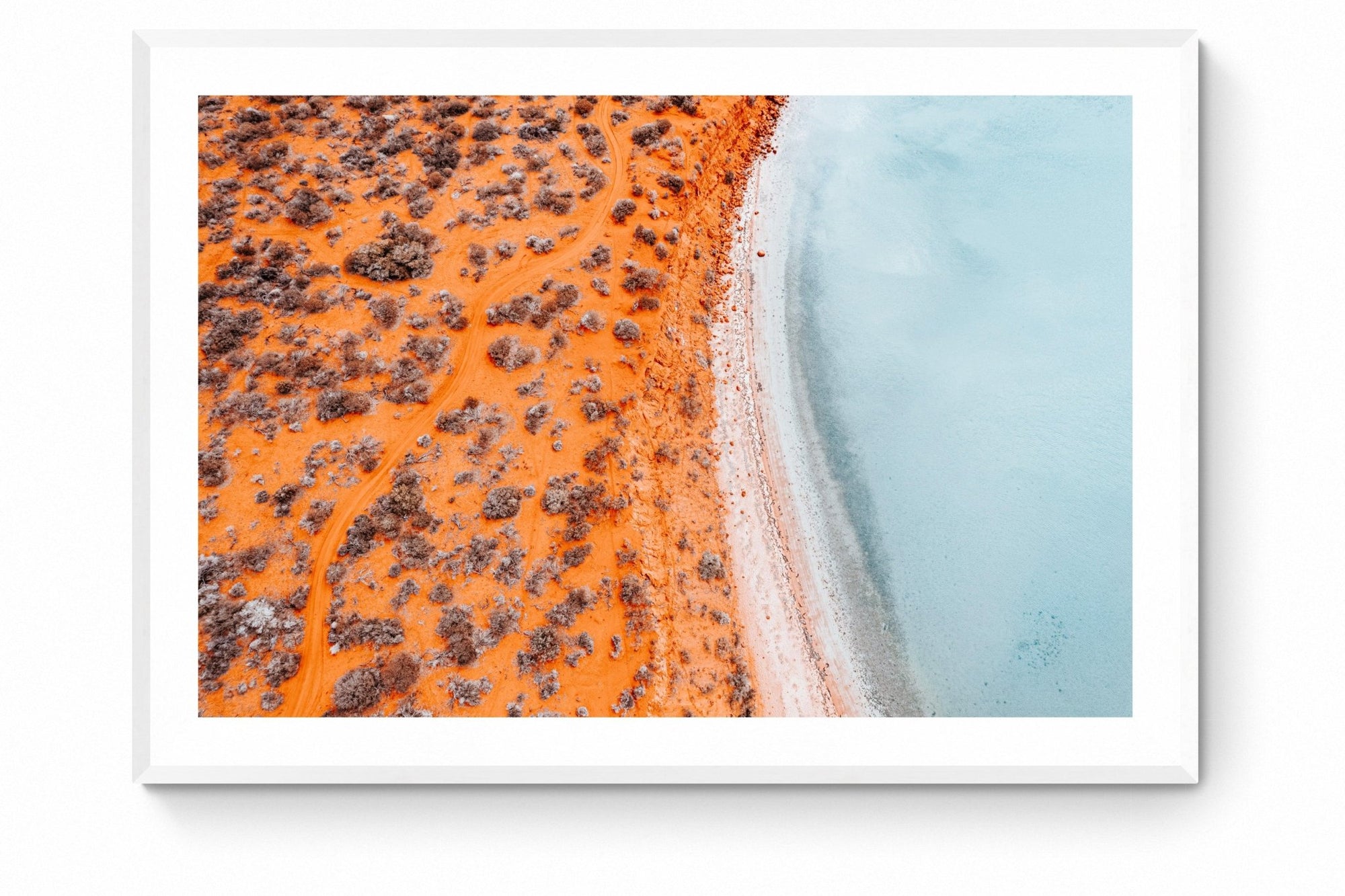 Ivy - Shark Bay Wall Art - Framed Print - Days Adrift