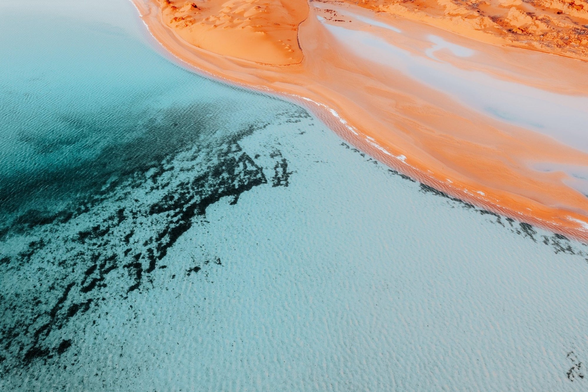 Journi - Shark Bay Wall Art - Digital Download - Days Adrift