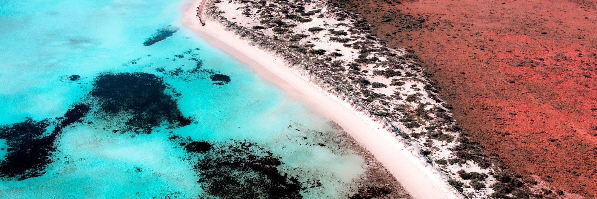 Junaid - Exmouth Wall Art - Digital Download - Days Adrift