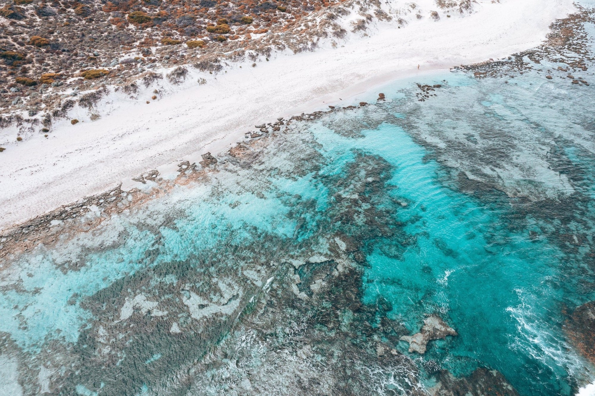 Juno - Dongara Wall Art - Digital Download - Days Adrift