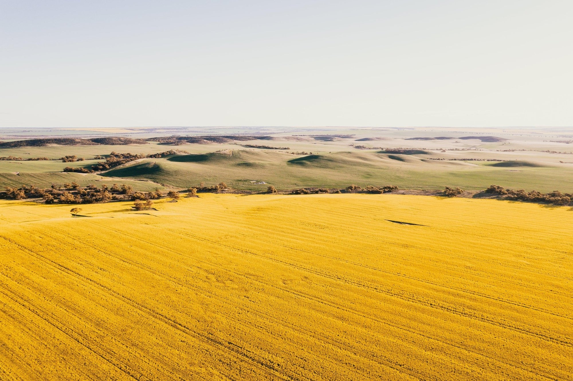 Kabir - Three Springs Wall Art - Framed Print - Days Adrift