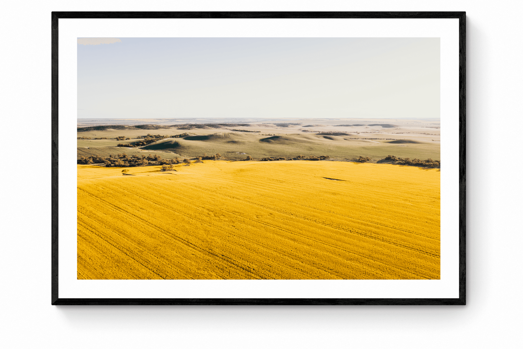 Kabir - Three Springs Wall Art - Framed Print - Days Adrift