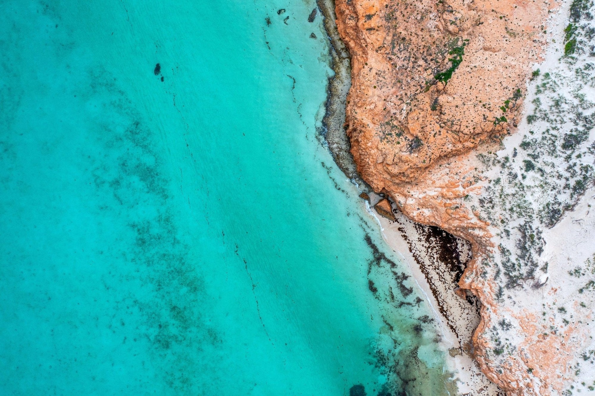 Kai - Coral Bay Wall Art - Digital Download - Days Adrift