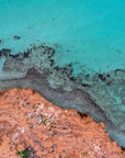 Kalen - Coral Bay Wall Art - Digital Download - Days Adrift