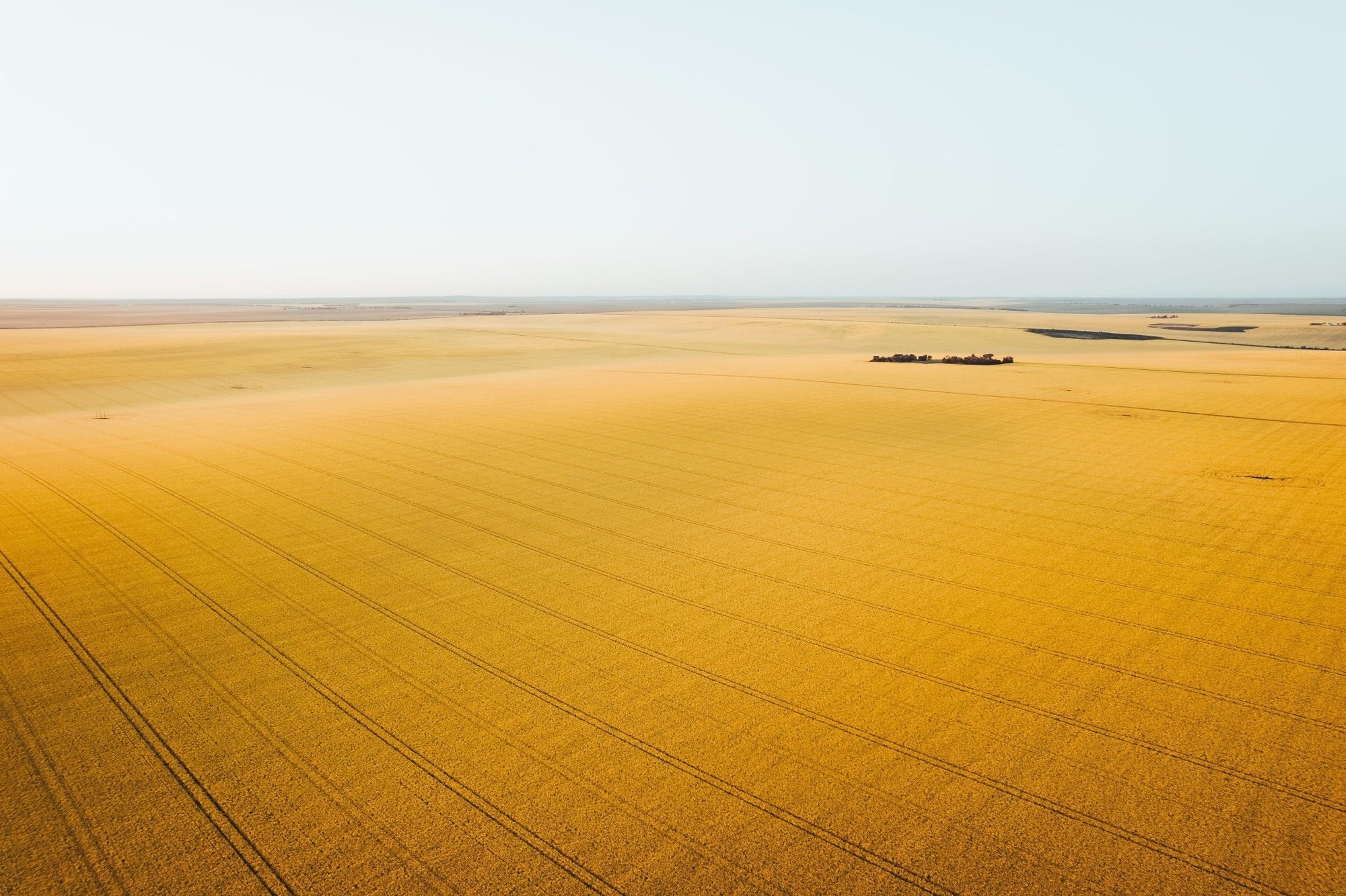 Karsyn - Mingenew Wall Art - Digital Download - Days Adrift