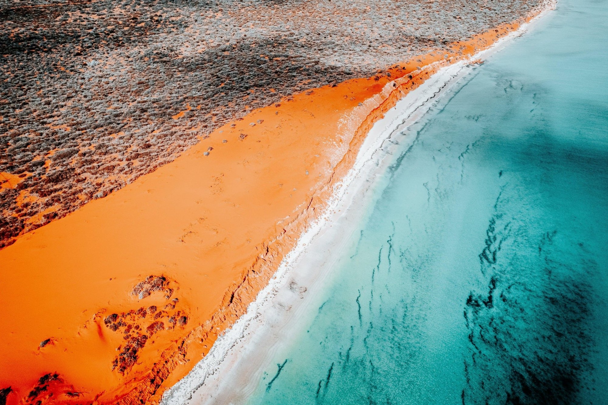 Kayla - Shark Bay Wall Art - Digital Download - Days Adrift