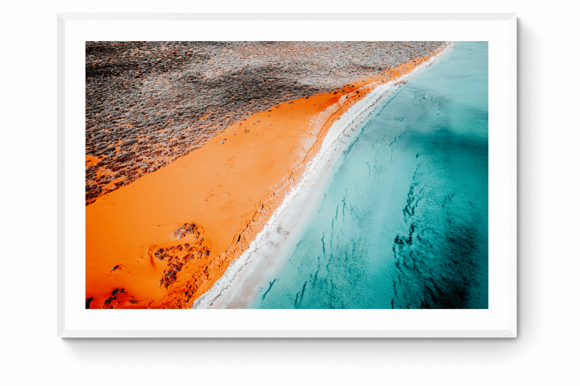 Kayla - Shark Bay Wall Art - Framed Print - Days Adrift