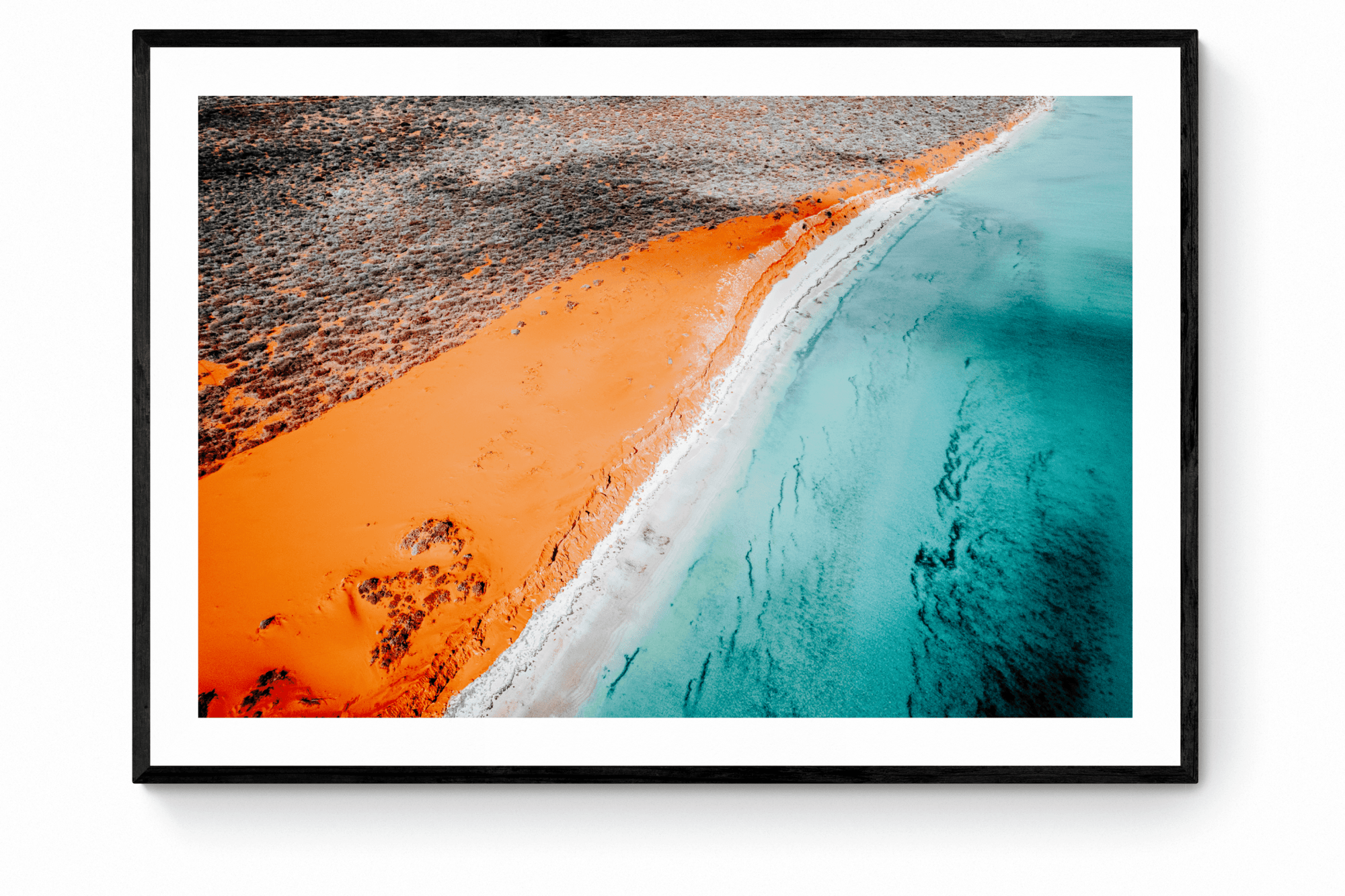 Kayla - Shark Bay Wall Art - Framed Print - Days Adrift