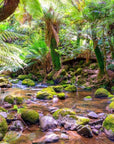 Kayla - St Columba Falls Wall Art - Digital Download - Days Adrift