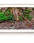 Kenzi - Karijini Wall Art - Digital Download - Days Adrift