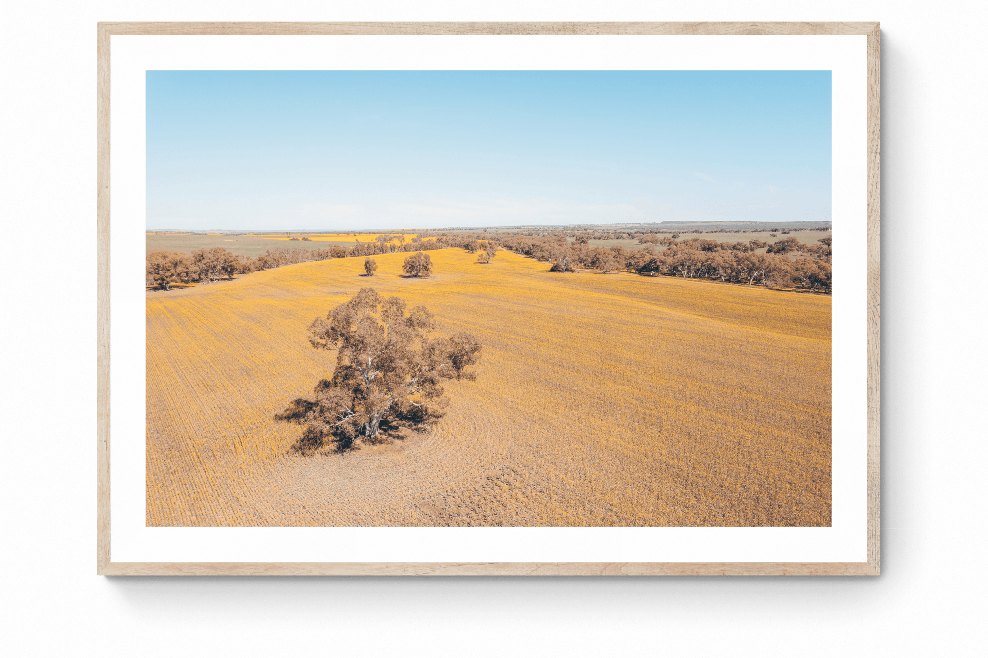 Kevin - Mingenew Wall Art - Digital Download - Days Adrift