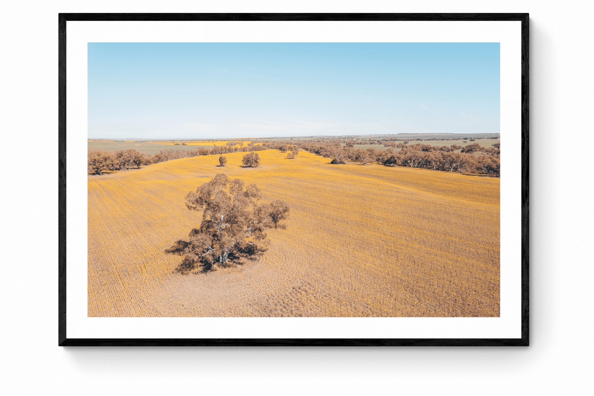 Kevin - Mingenew Wall Art - Framed Print - Days Adrift