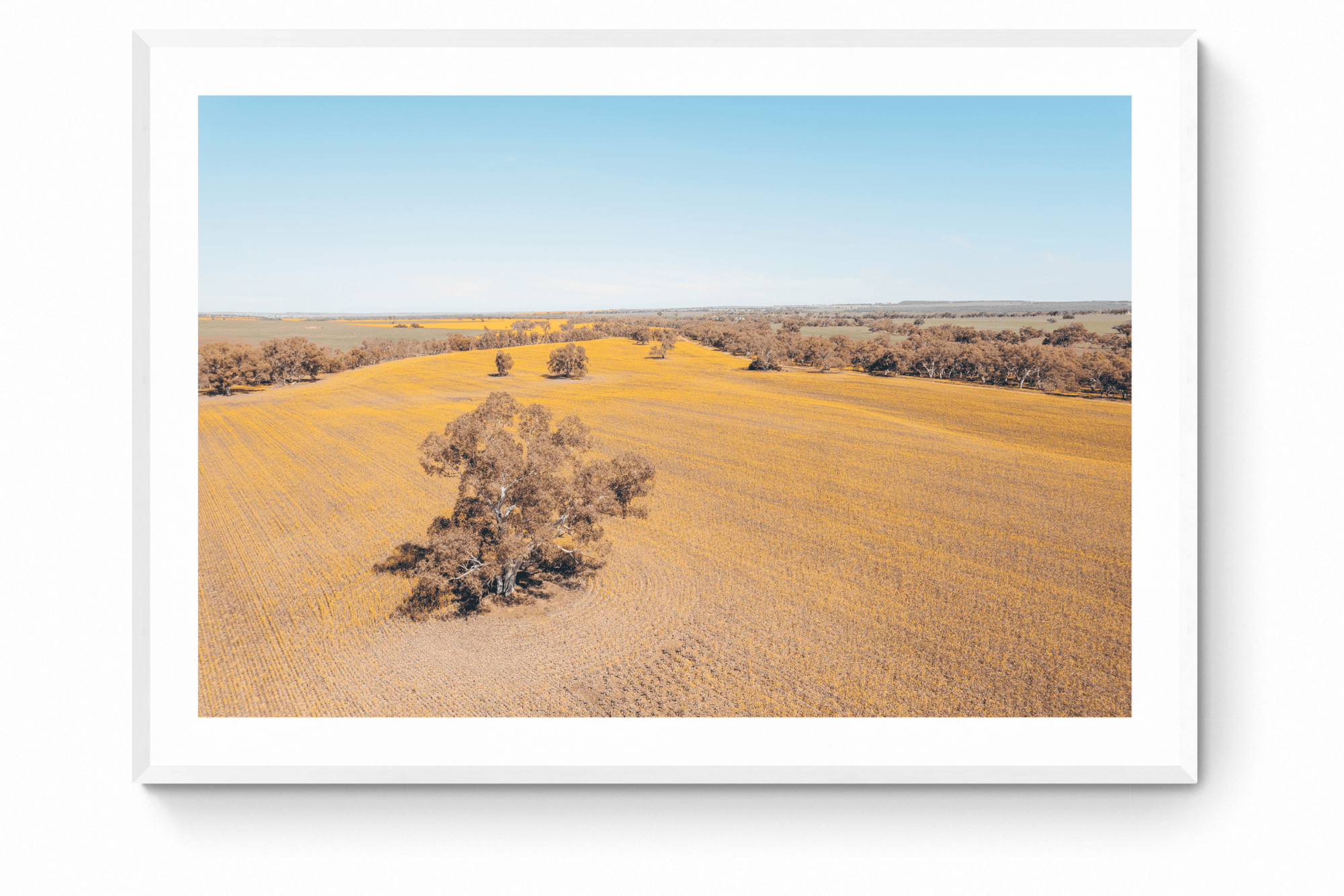 Kevin - Mingenew Wall Art - Framed Print - Days Adrift