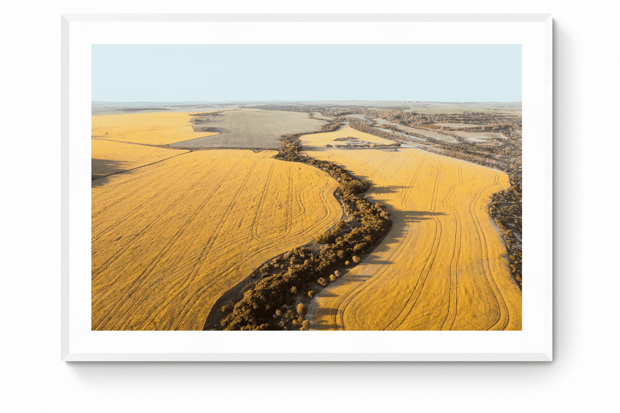 Lana - Mingenew Wall Art - Framed Print - Days Adrift