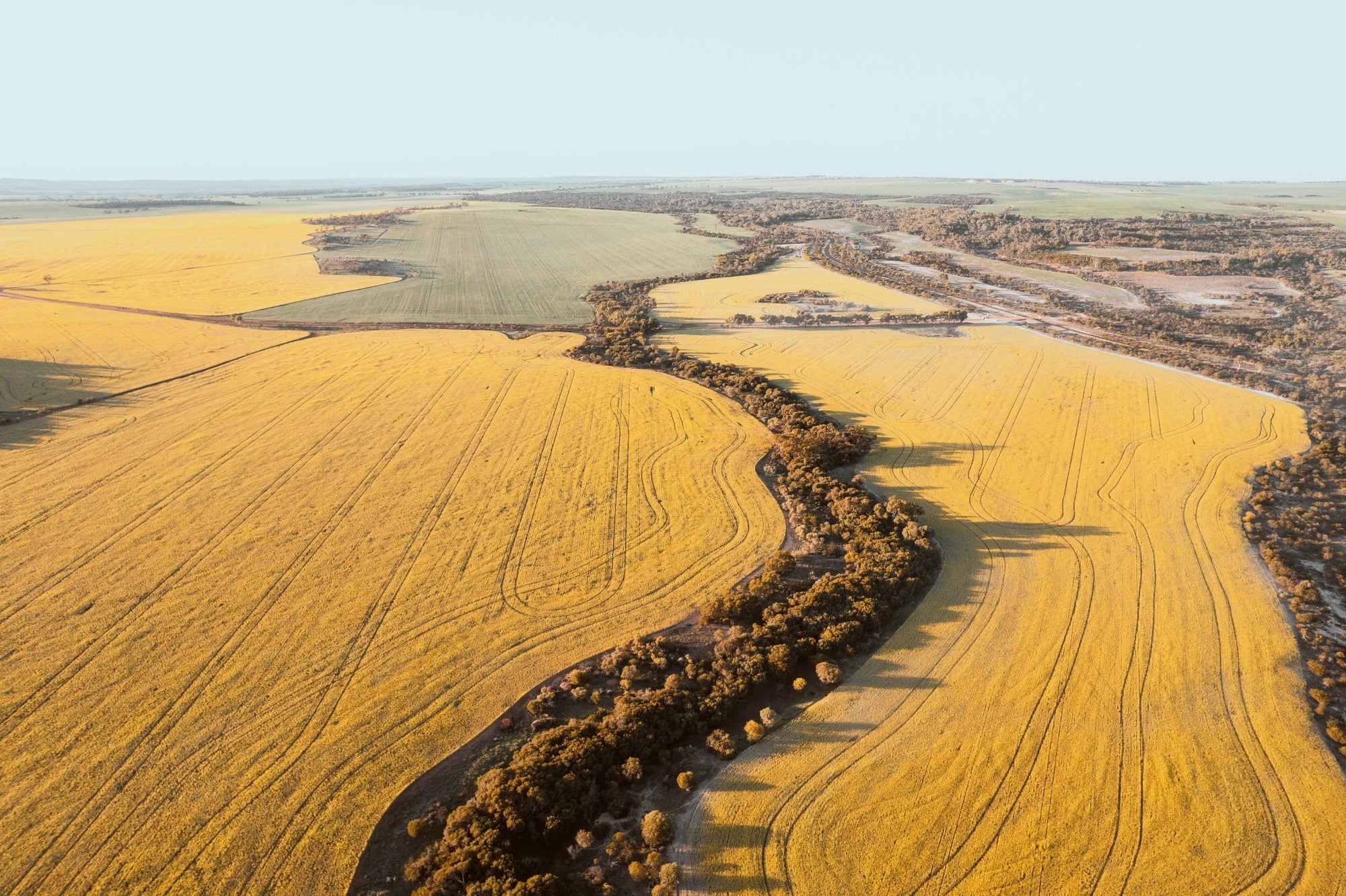 Lana - Mingenew Wall Art - Framed Print - Days Adrift