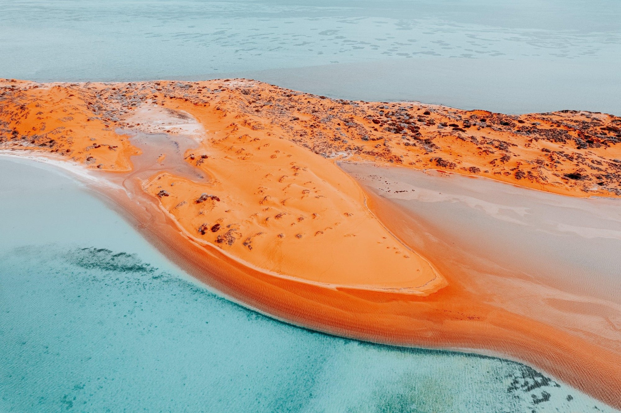 Laney - Shark Bay Wall Art - Digital Download - Days Adrift