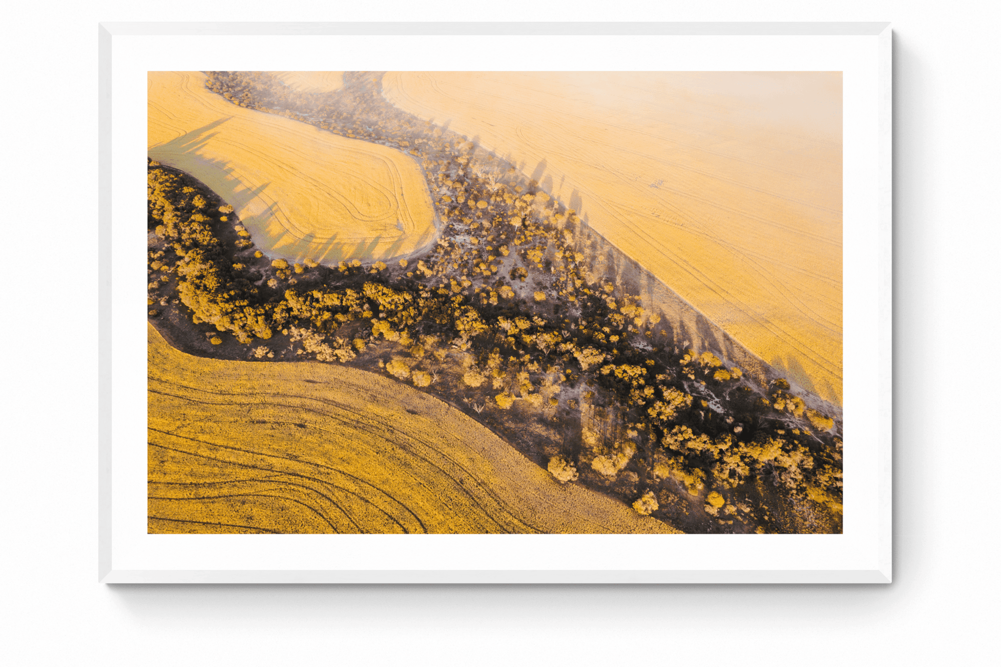 Lauren - Mingenew Wall Art - Framed Print - Days Adrift