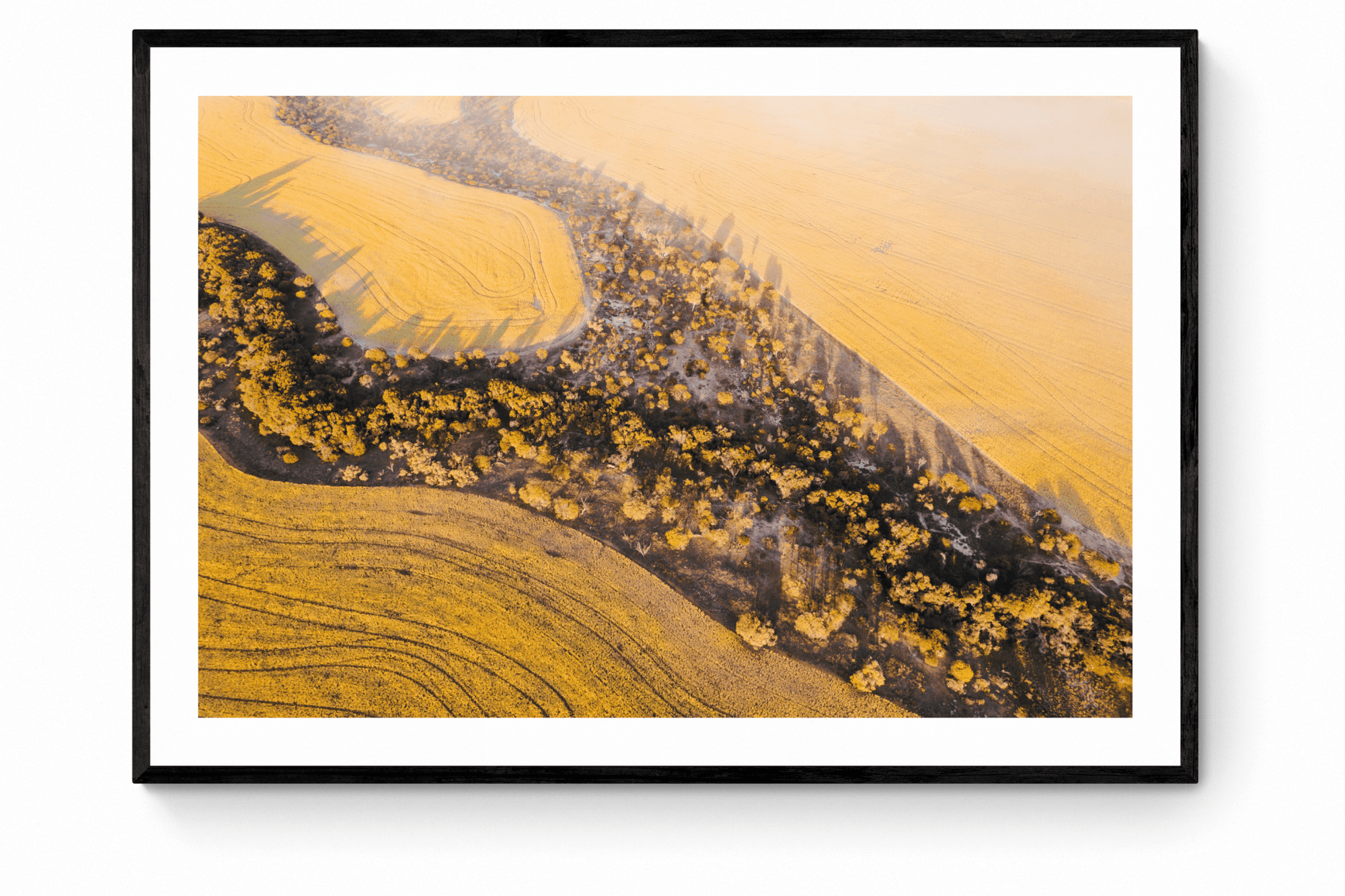 Lauren - Mingenew Wall Art - Framed Print - Days Adrift