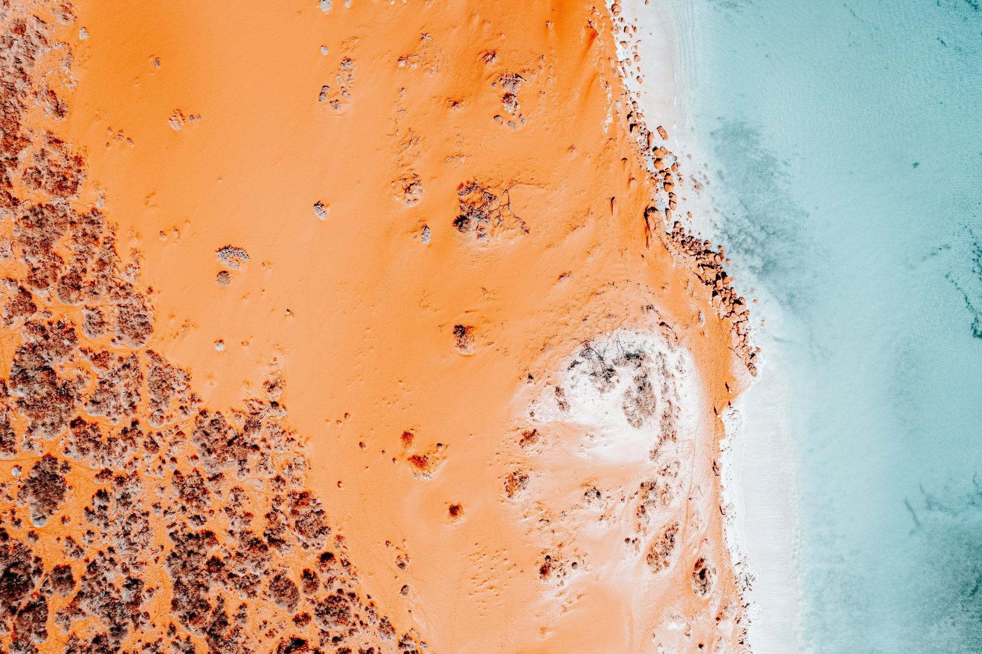 Layla - Shark Bay Wall Art - Digital Download - Days Adrift