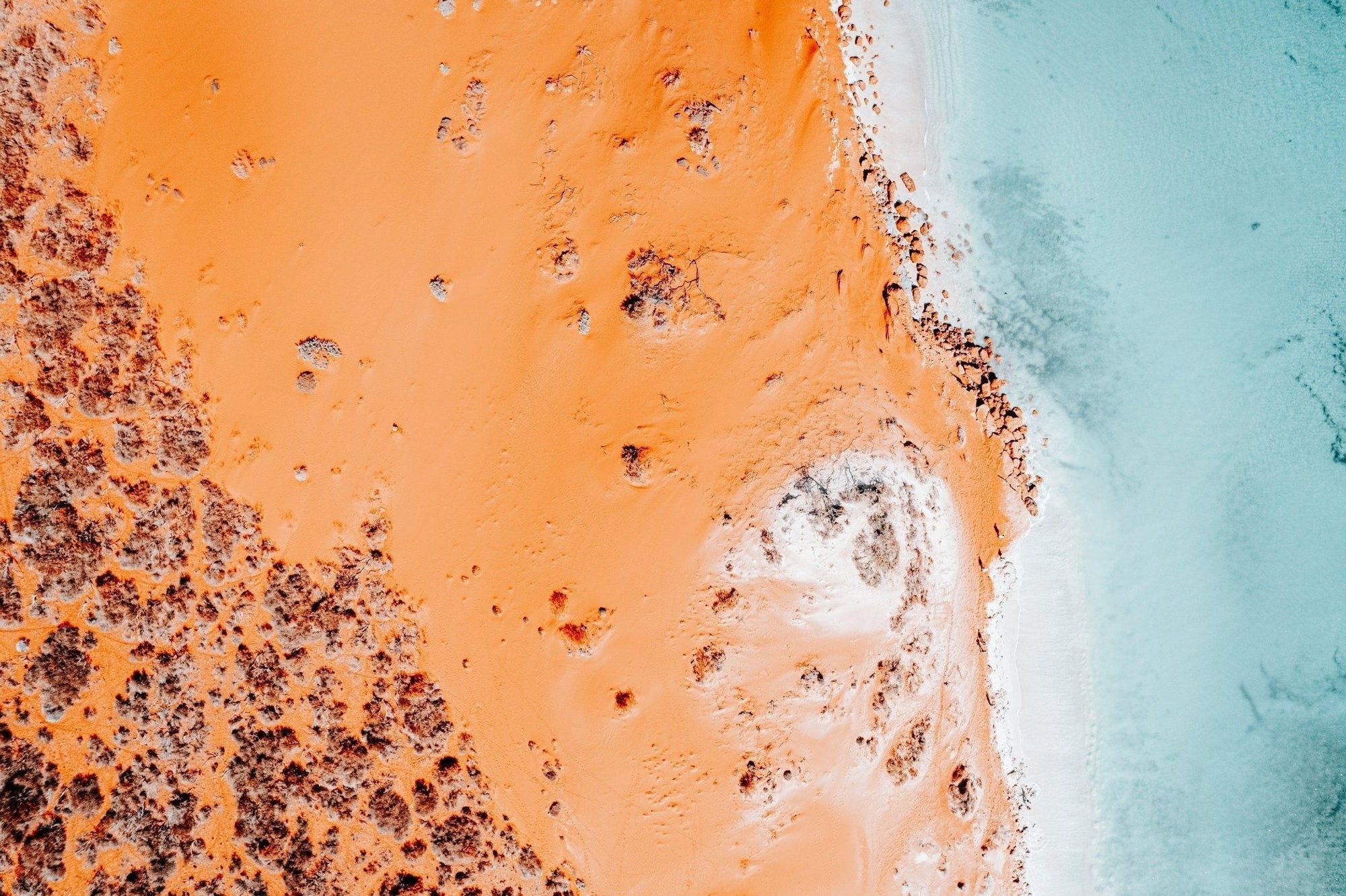 Layla - Shark Bay Wall Art - Digital Download - Days Adrift