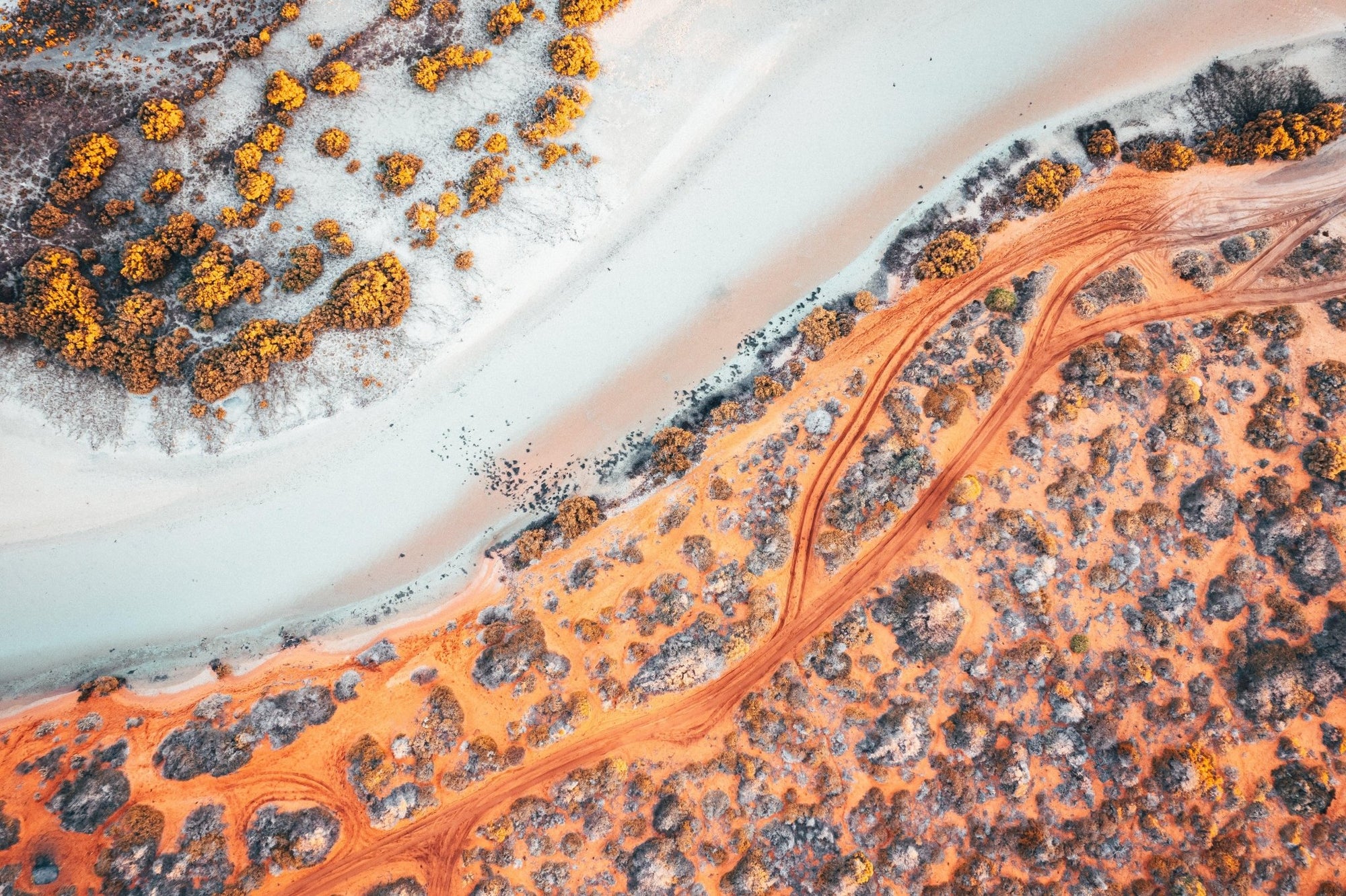 Lesley - Shark Bay Wall Art - Digital Download - Days Adrift