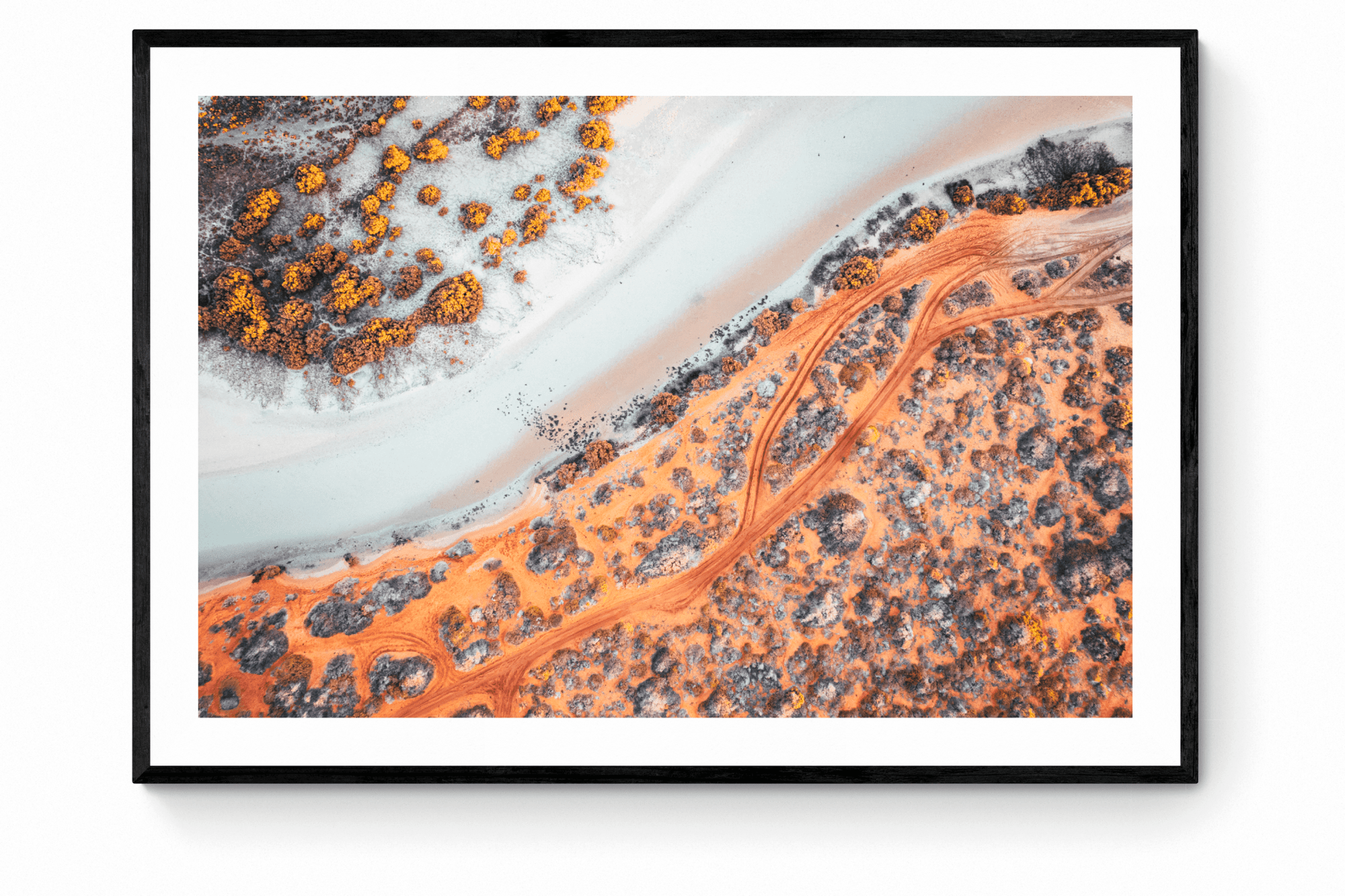 Lesley - Shark Bay Wall Art - Framed Print - Days Adrift