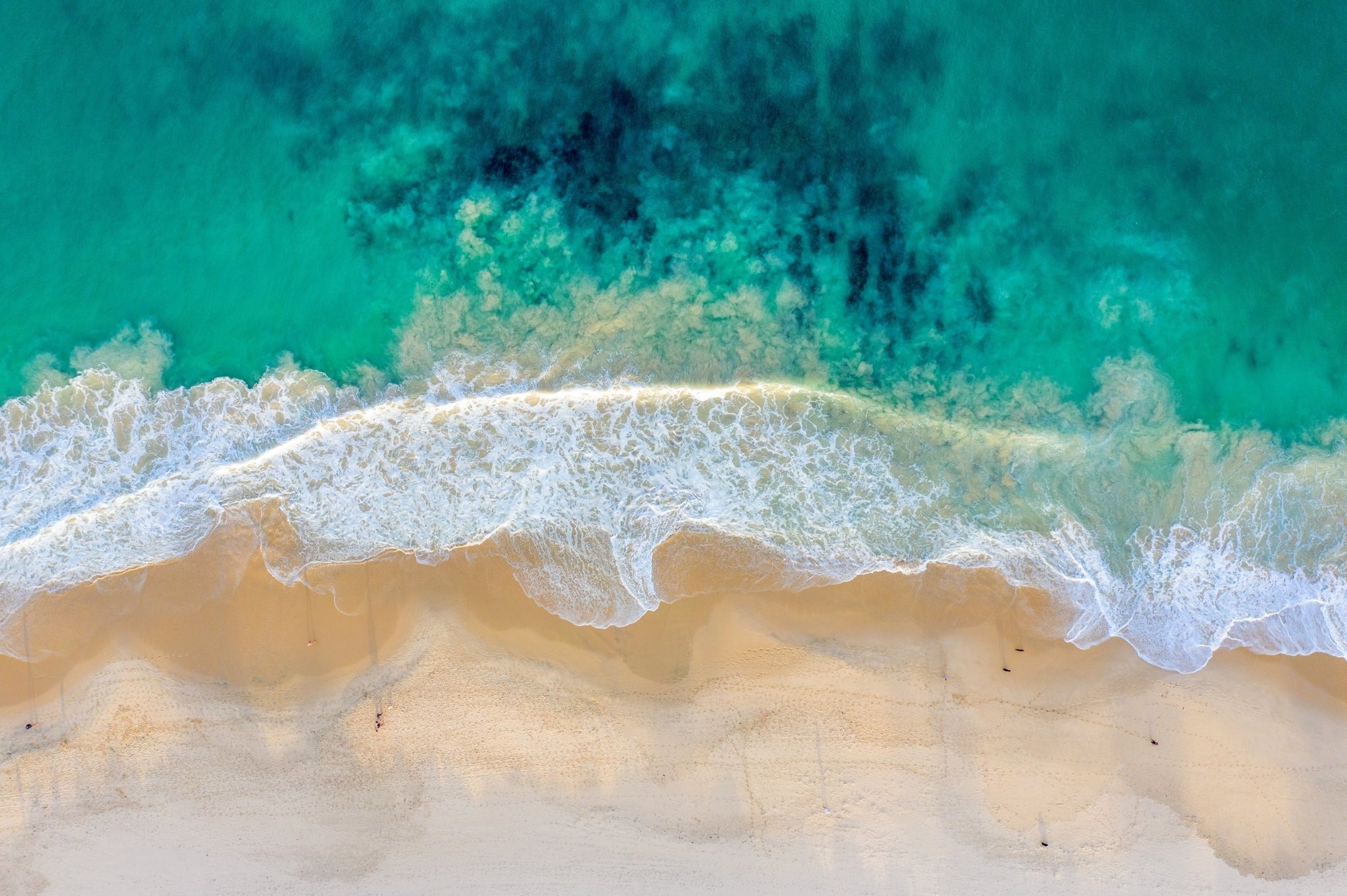 Levi - Perth Wall Art - Digital Download - Days Adrift