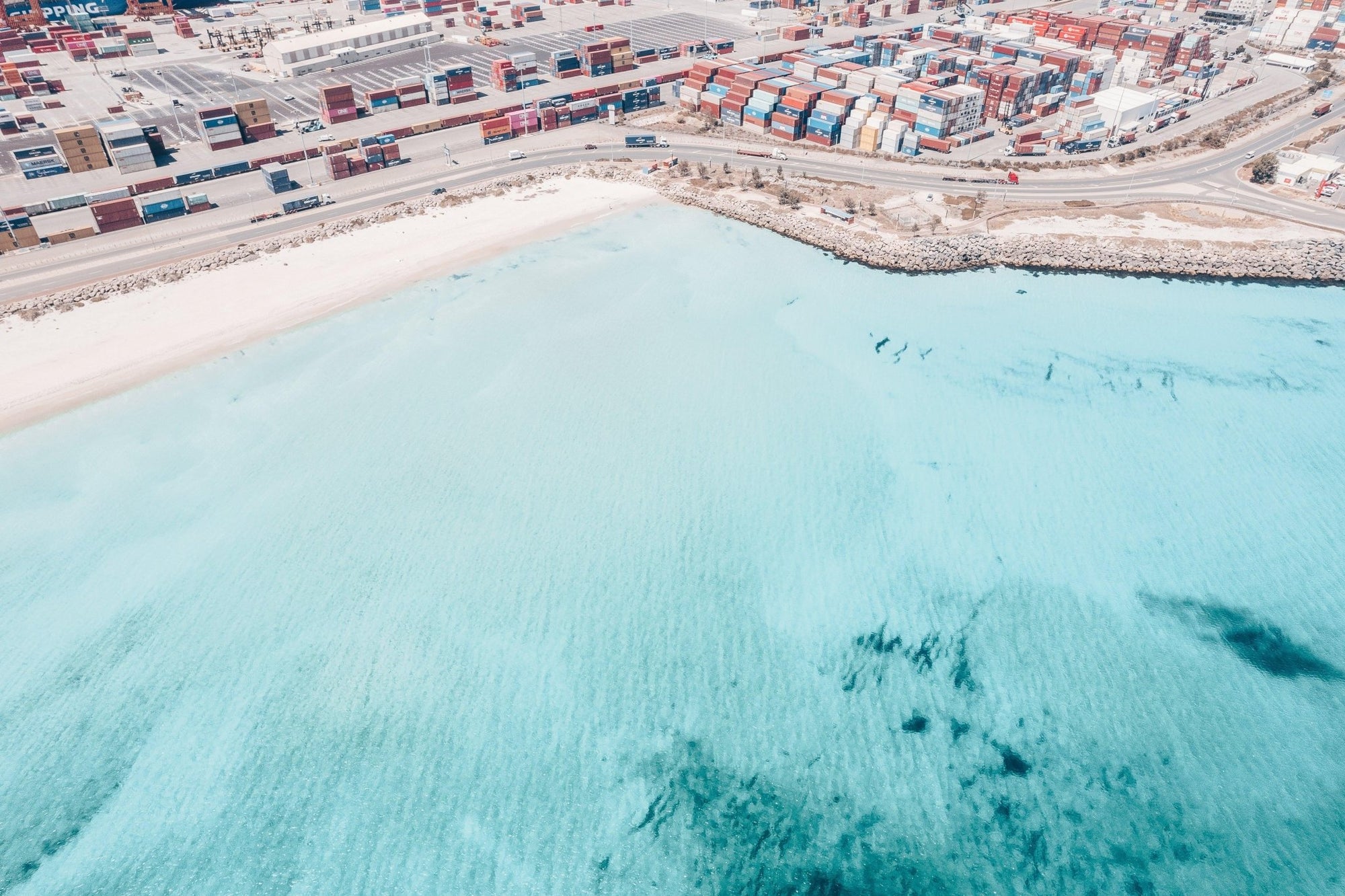 Lola - Fremantle Wall Art - Digital Download - Days Adrift