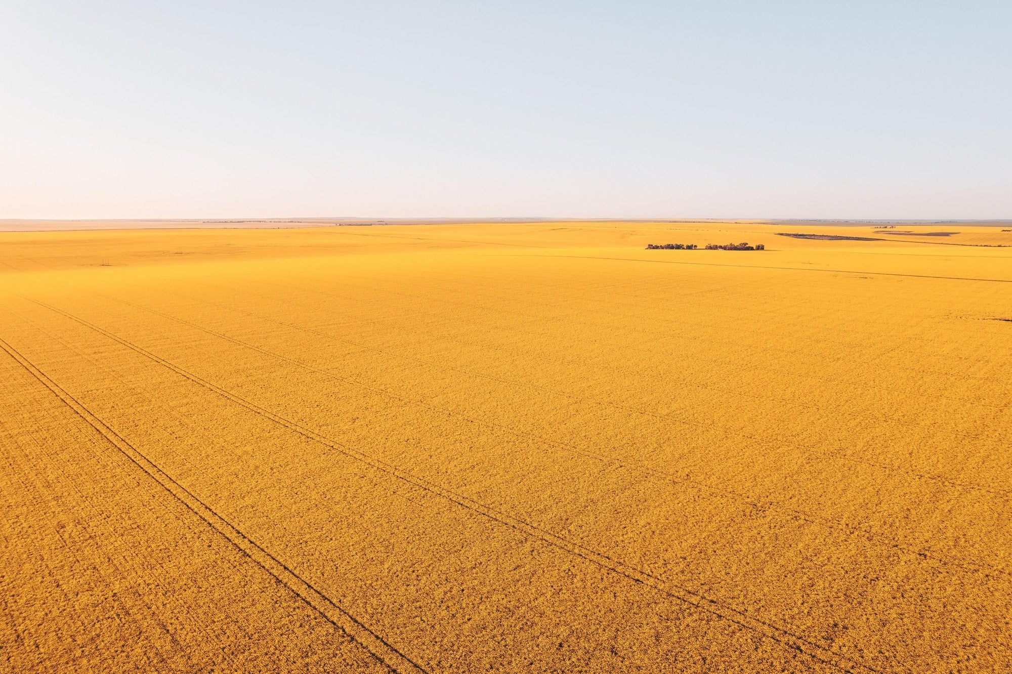 Luciana - Mingenew Wall Art - Digital Download - Days Adrift