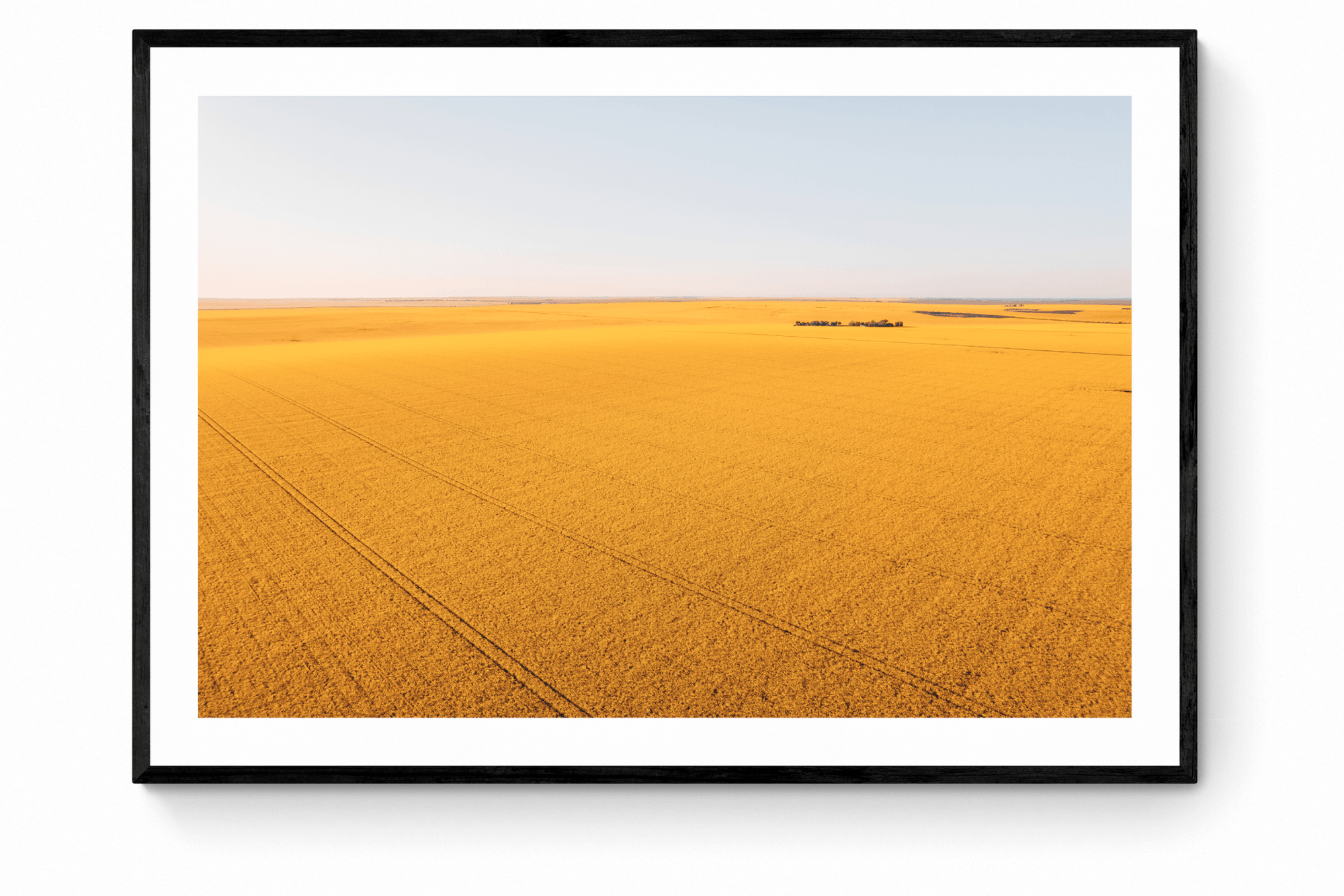 Luciana - Mingenew Wall Art - Framed Print - Days Adrift