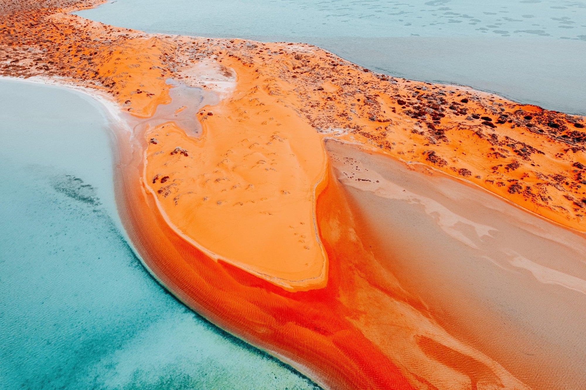 Maia - Shark Bay Wall Art - Digital Download - Days Adrift
