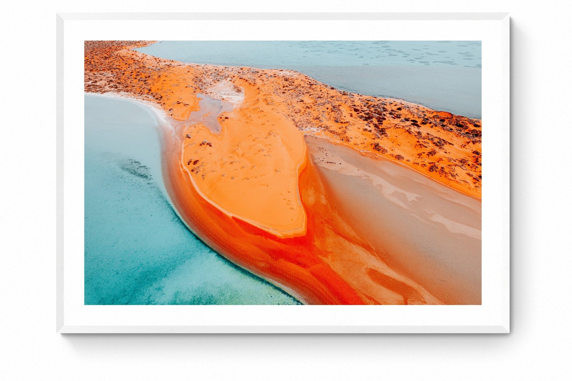 Maia - Shark Bay Wall Art - Framed Print - Days Adrift