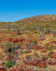 Meadow - Karijini Wall Art - Digital Download - Days Adrift