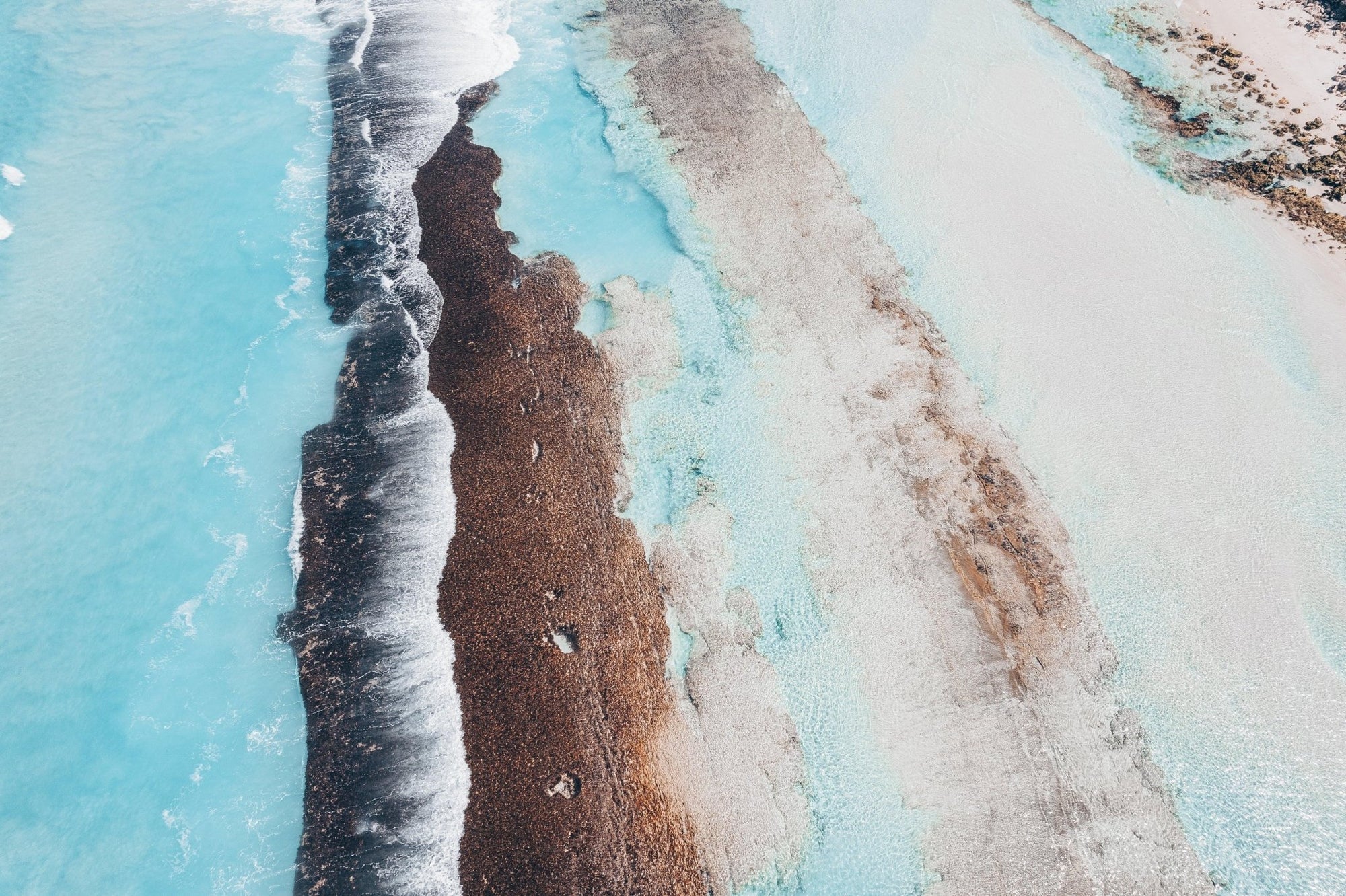 Mikhail - Esperance Wall Art - Digital Download - Days Adrift