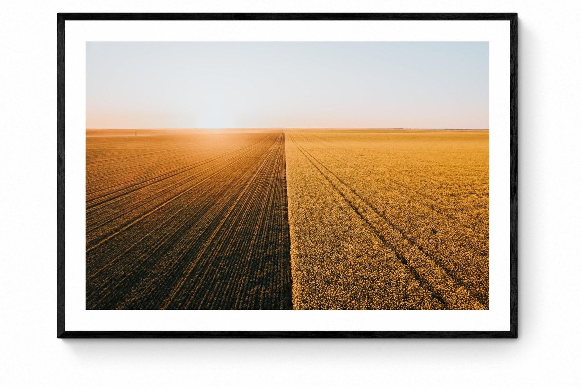 Miranda - Mingenew Wall Art - Framed Print - Days Adrift