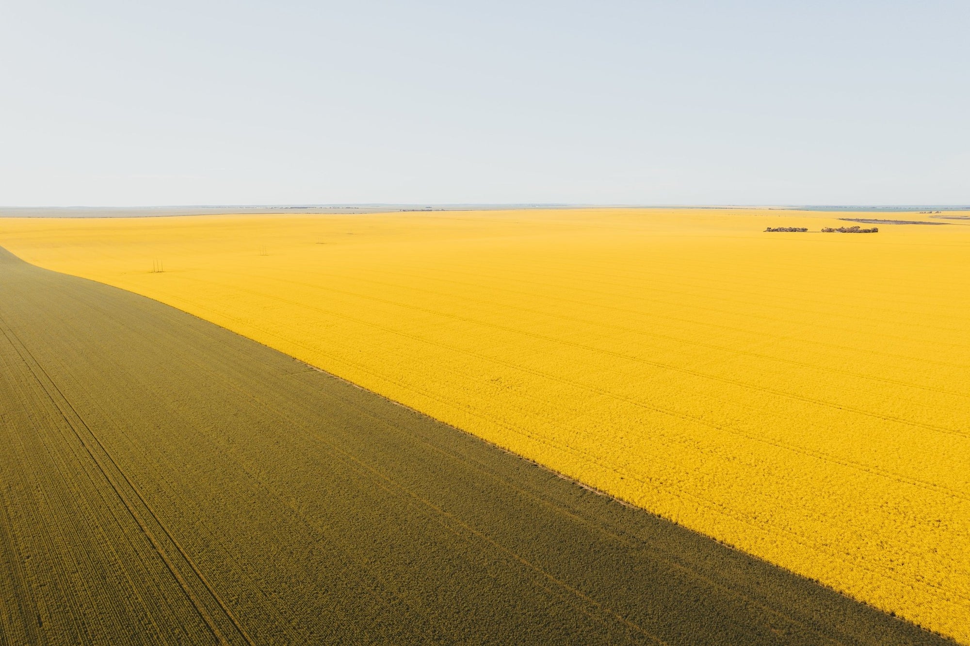 Monroe - Mingenew Wall Art - Digital Download - Days Adrift