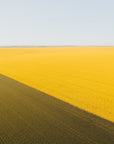 Monroe - Mingenew Wall Art - Digital Download - Days Adrift