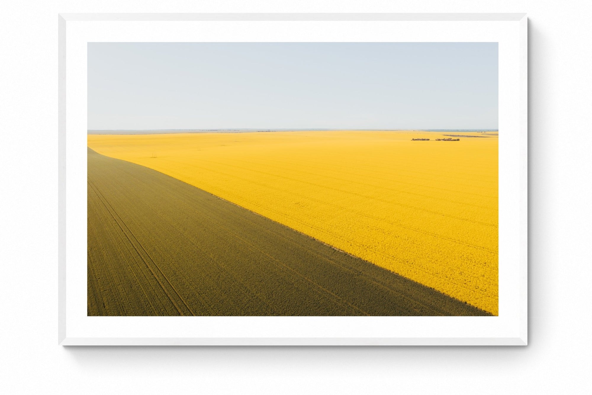 Monroe - Mingenew Wall Art - Framed Print - Days Adrift