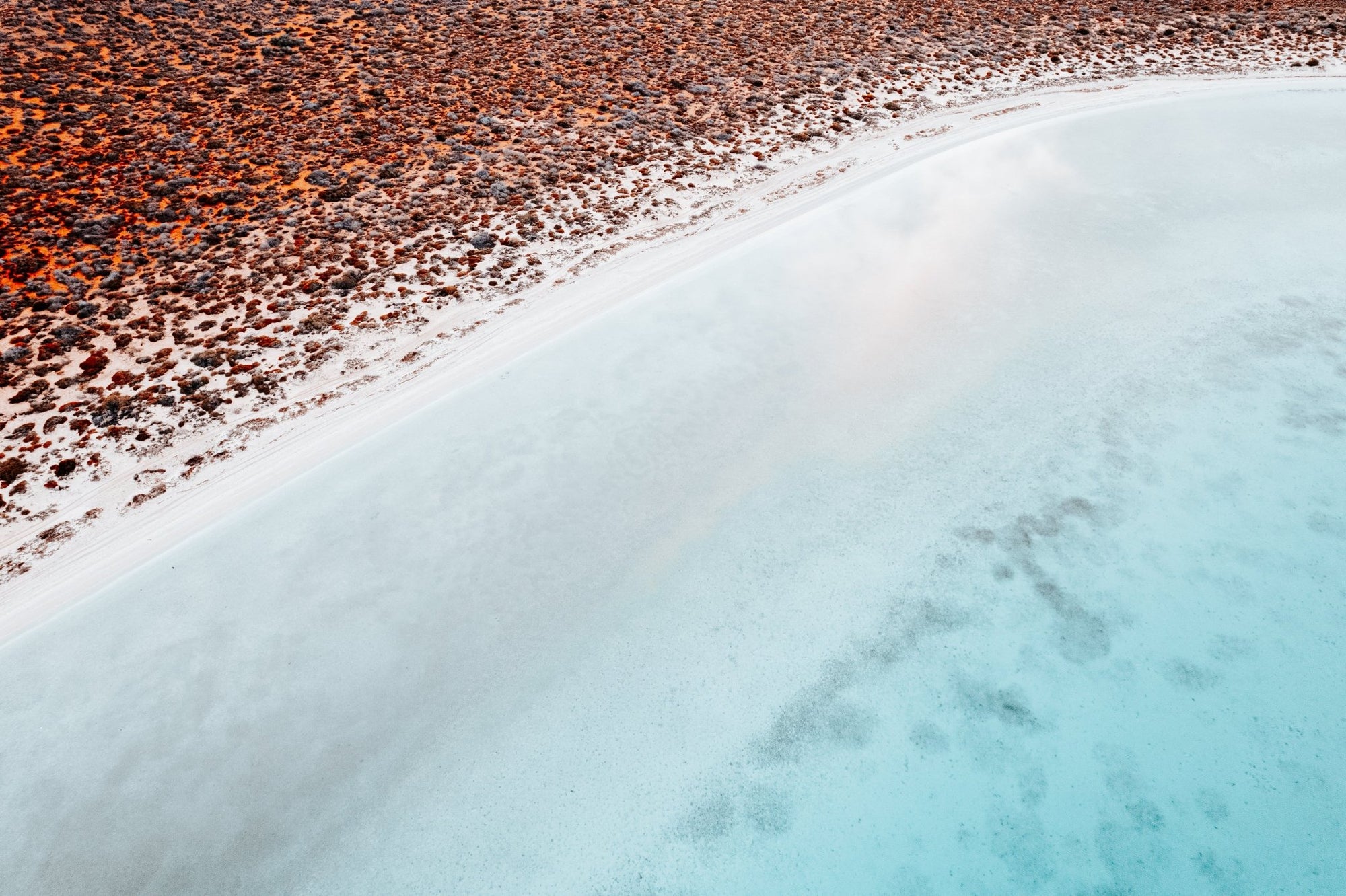 Nadia - Shark Bay Wall Art - Digital Download - Days Adrift