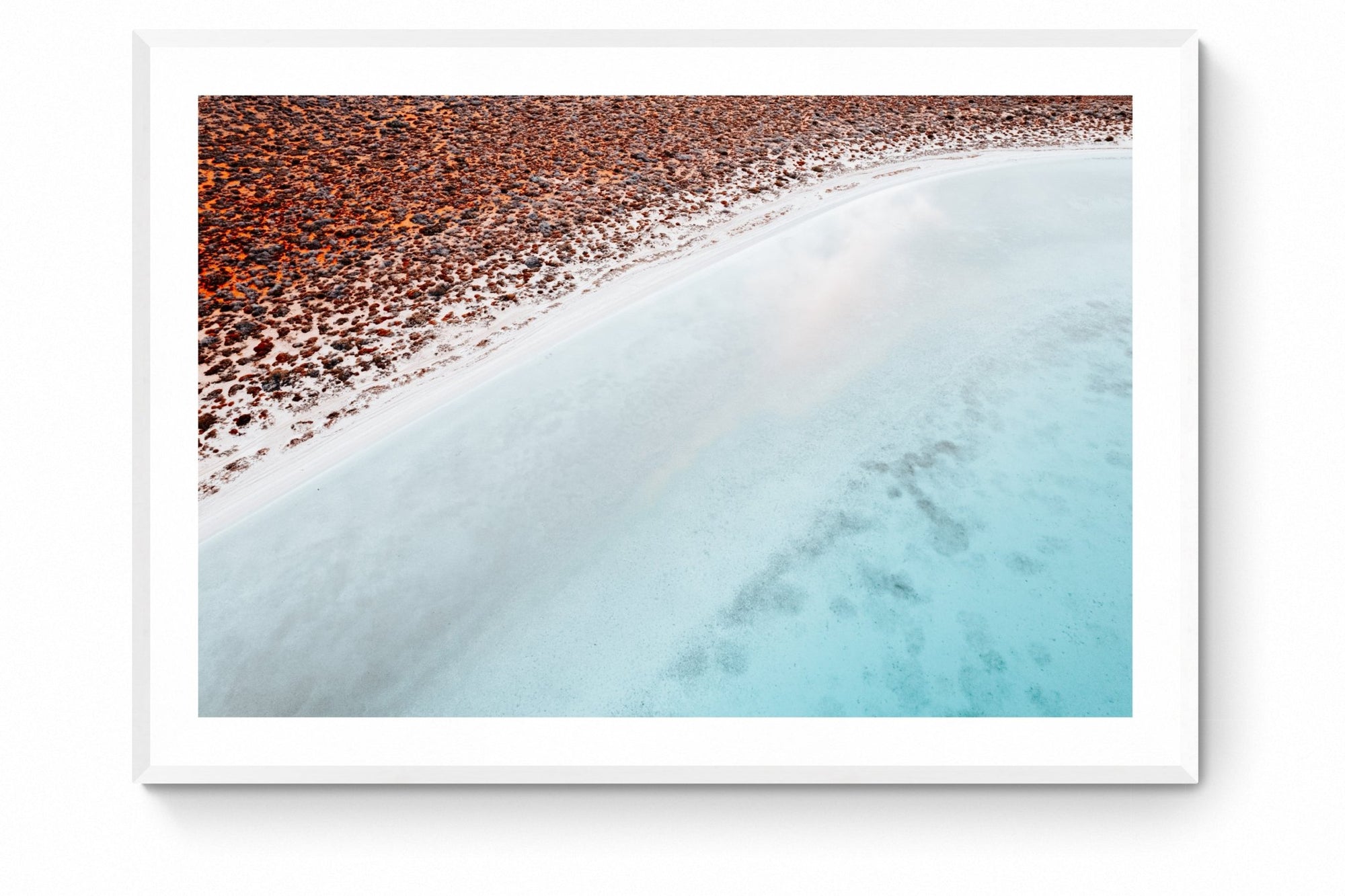 Nadia - Shark Bay Wall Art - Framed Print - Days Adrift