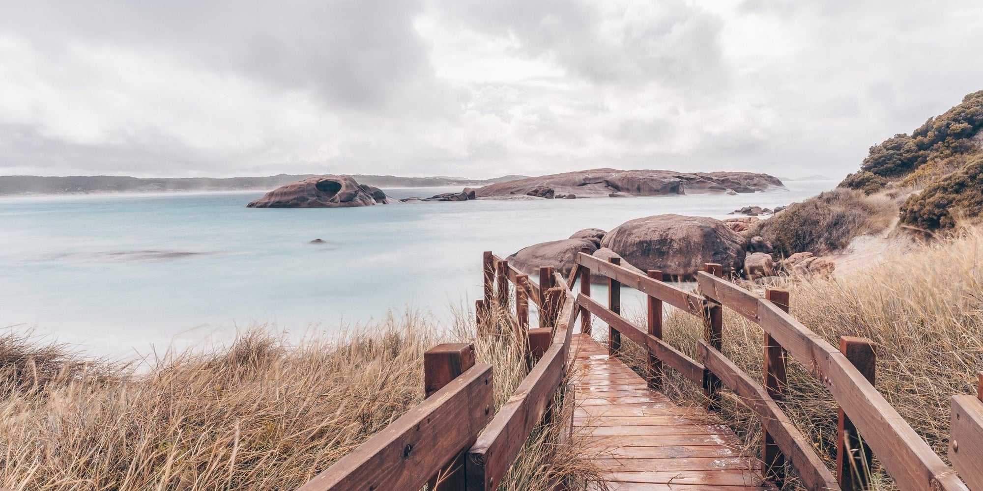 Nico - Esperance Wall Art - Digital Download - Days Adrift