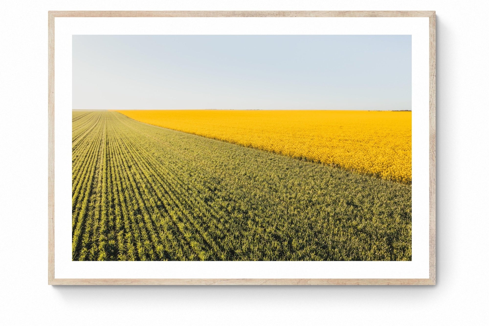 Nikolaos - Mingenew Wall Art - Digital Download - Days Adrift