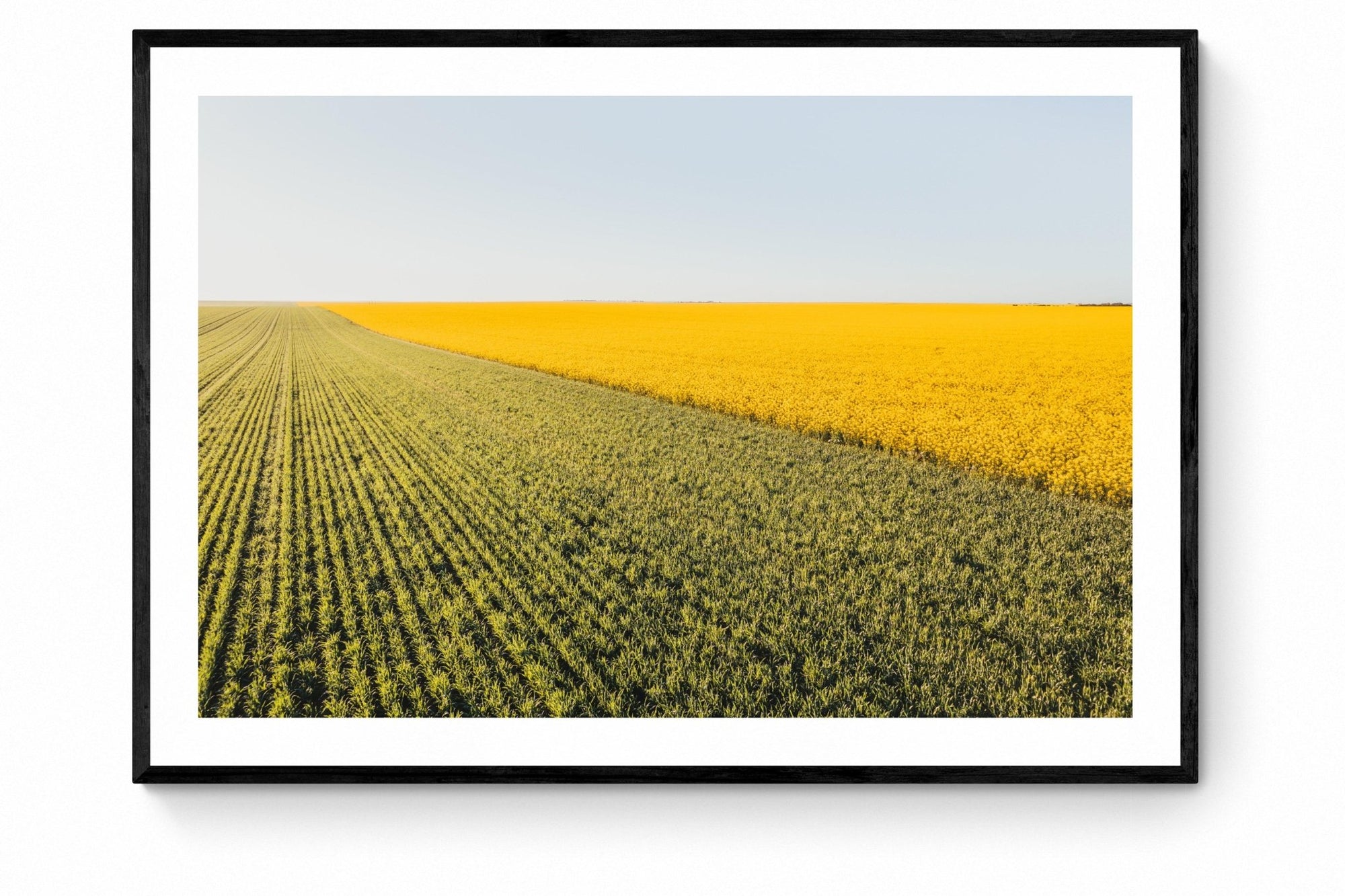 Nikolaos - Mingenew Wall Art - Framed Print - Days Adrift