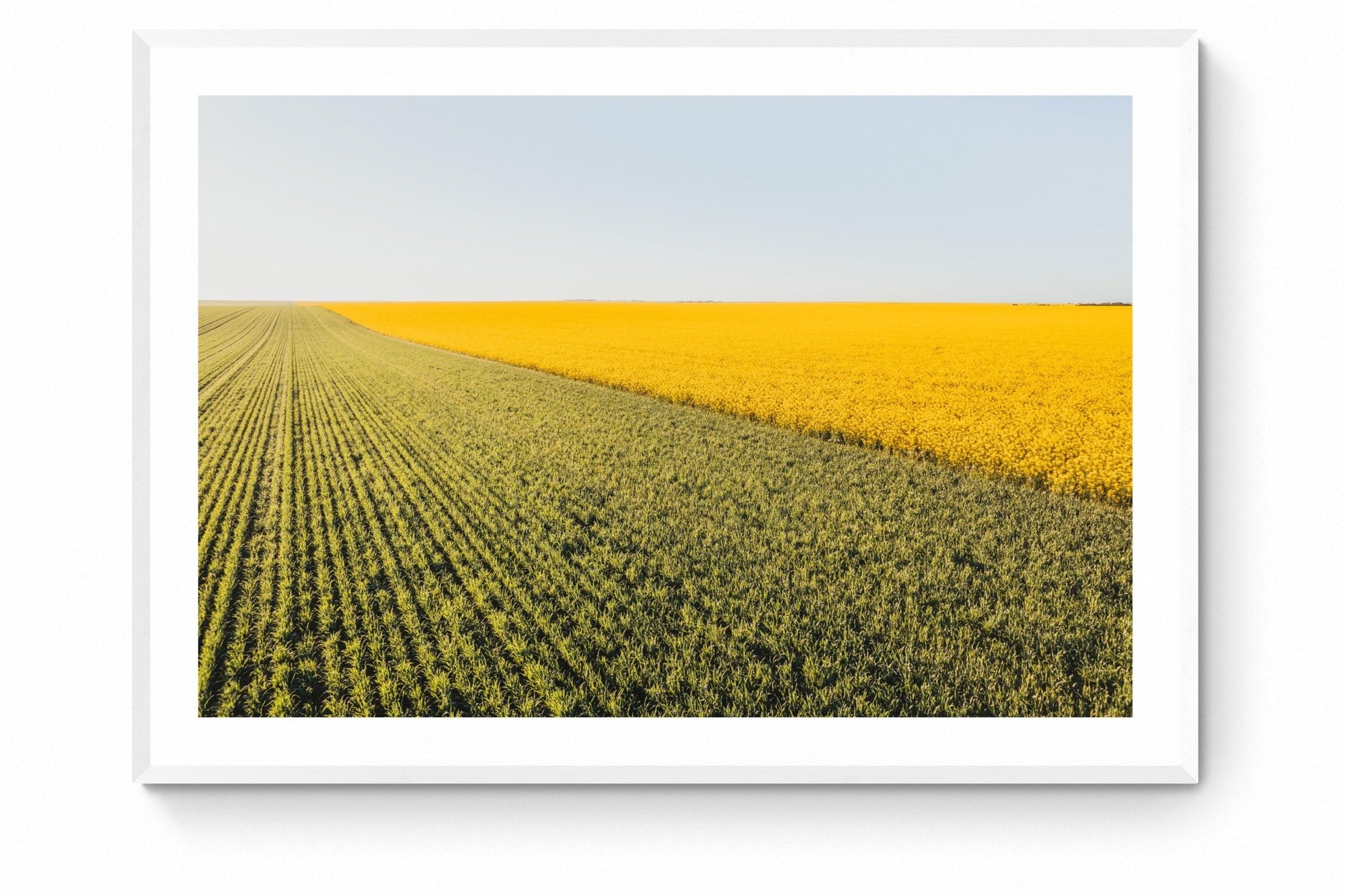 Nikolaos - Mingenew Wall Art - Framed Print - Days Adrift