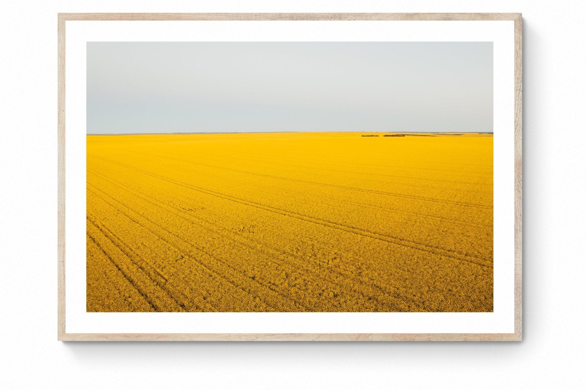 Ola - Mingenew Wall Art - Digital Download - Days Adrift