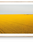 Ola - Mingenew Wall Art - Digital Download - Days Adrift
