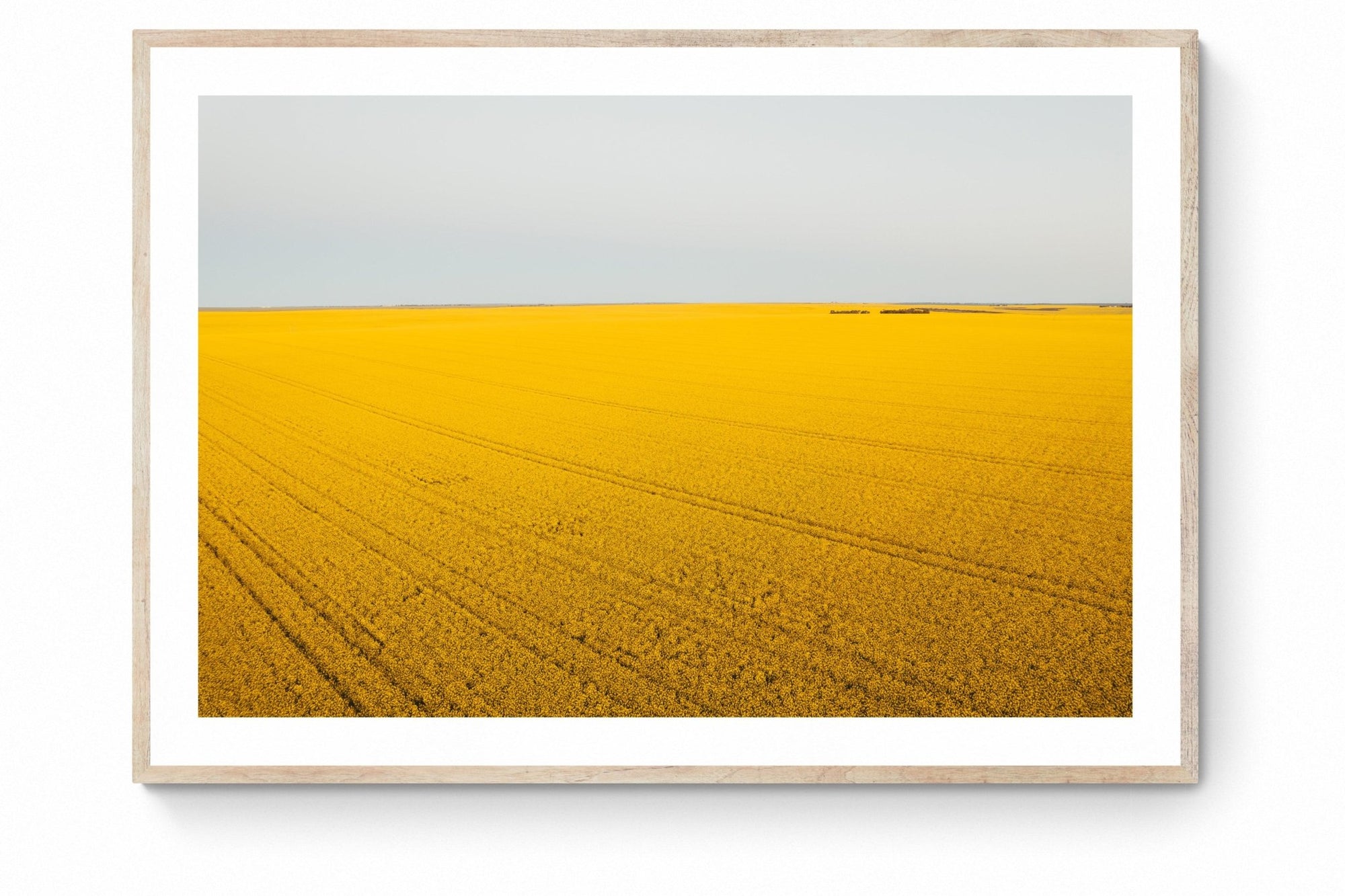 Ola - Mingenew Wall Art - Digital Download - Days Adrift