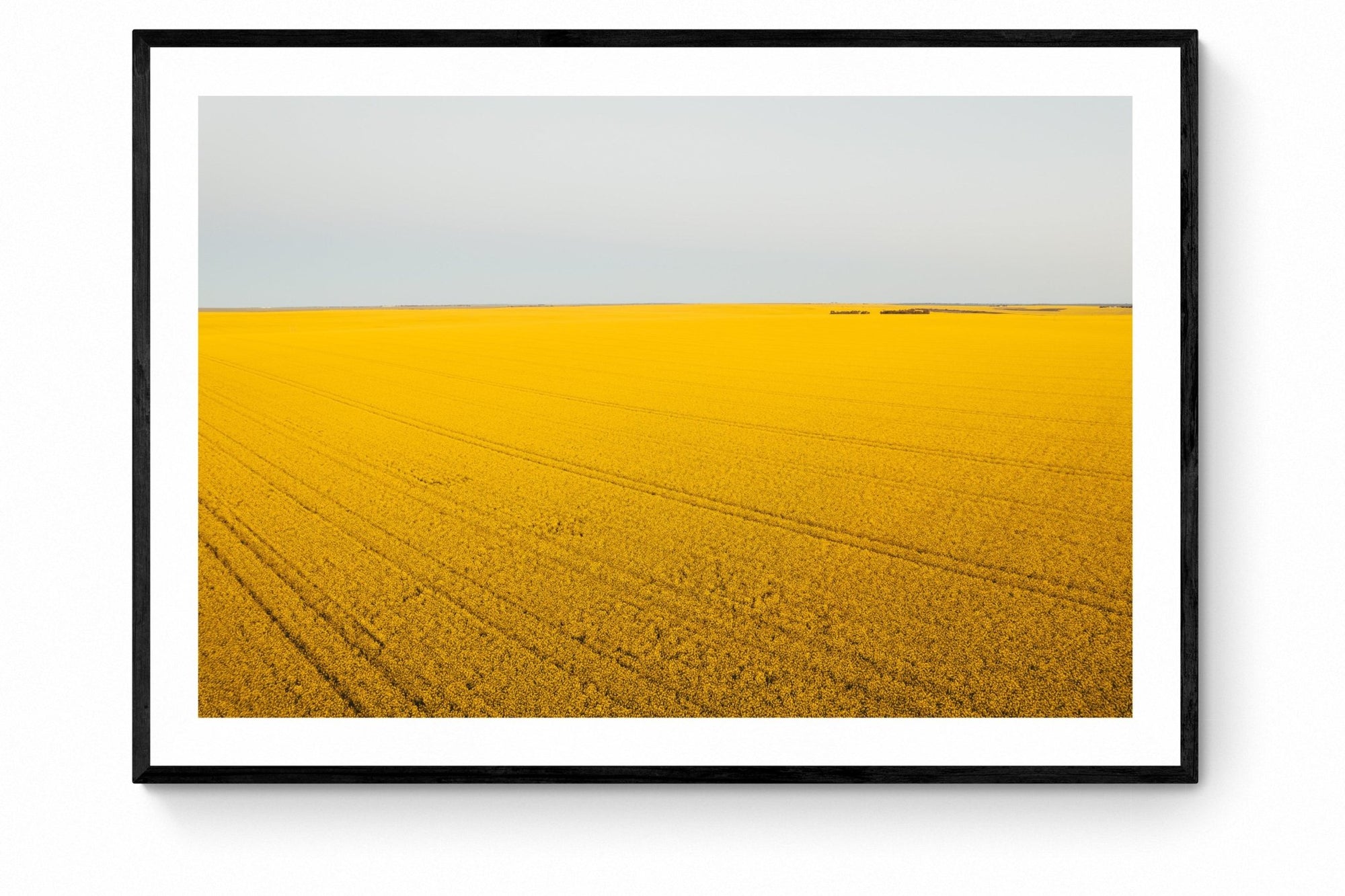 Ola - Mingenew Wall Art - Framed Print - Days Adrift